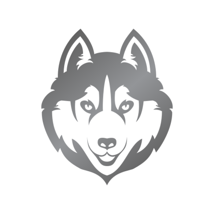 Хаски-парк Рузская Аляска